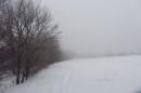 Filename=IMG_2783.jpg
Filesize=82KB
Dimensions=800x533
Date added=Jan 25, 2013 IMG_2783.jpg