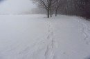 Filename=IMG_2786.jpg
Filesize=60KB
Dimensions=800x533
Date added=Jan 25, 2013 IMG_2786.jpg